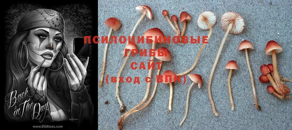 винт Нязепетровск