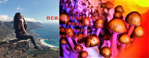 гидра Абдулино